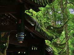 -青城山