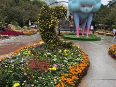 -南山植物园