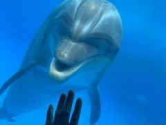 -北戴河圣蓝海洋公园