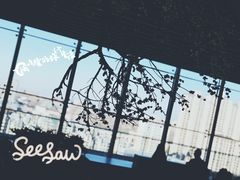 -Seesaw Coffee(朝阳大悦城店)