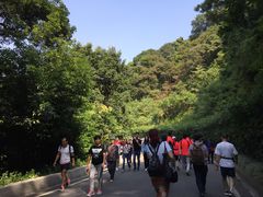 -白云山风景名胜区