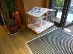 -小碗大胃(福久源新天地店)
