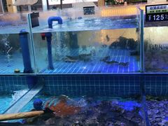 水产区-必点蒸汽海鲜(止锚湾店)