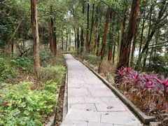 -火炉山森林公园