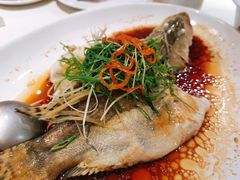 -华师大厦酒店·华粤轩中餐厅