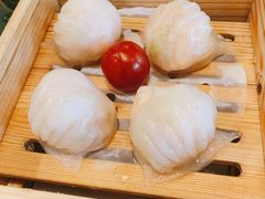 悦满楼虾饺皇-悦满楼·西关名点·湛江名菜(航空综合大厦店)