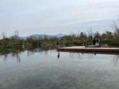 -三垟湿地