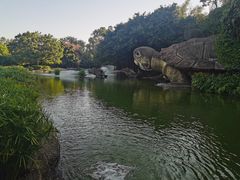 -湖光岩风景区