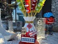 -中旅松花湖滑雪场