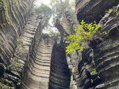-梭布垭石林景区