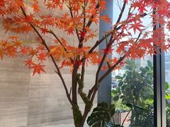 -唐宫足道·SPA·住宿24H会所(木渎店)