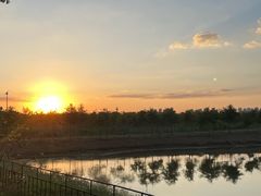 -合肥滨湖国家森林公园