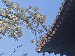 -红螺寺