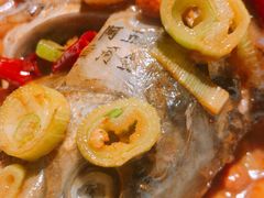 -阿五黄河大鲤鱼(纬三路店)