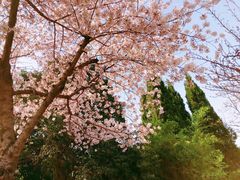 -木塔寺遗址生态公园