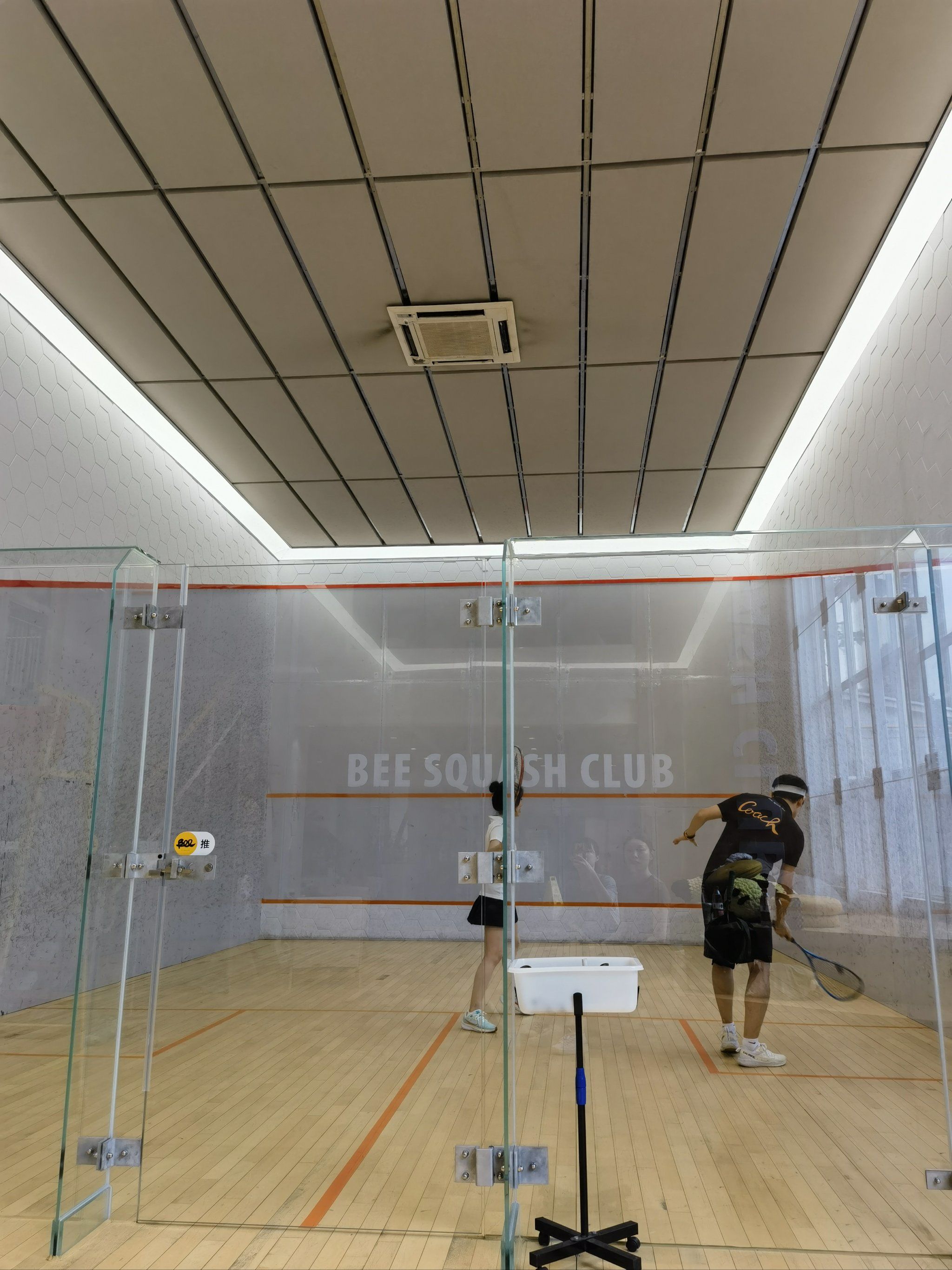 壁球 撸猫:穿越进tvb和韩剧挥拍啦98