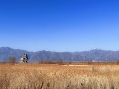 -野鸭湖国家湿地公园