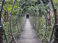 -海南热带雨林国家公园吊罗山景区