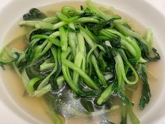 鸡毛菜-火璽·園