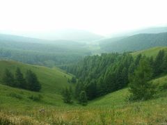 android_upload_pic-塞罕坝国家级自然保护区