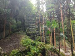 -梭布垭石林景区