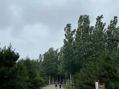 -东郊湿地公园