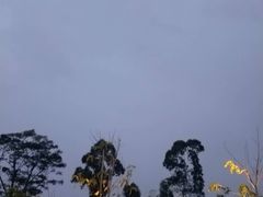 -白石龙音乐公园