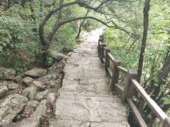 -朱雀国家森林公园