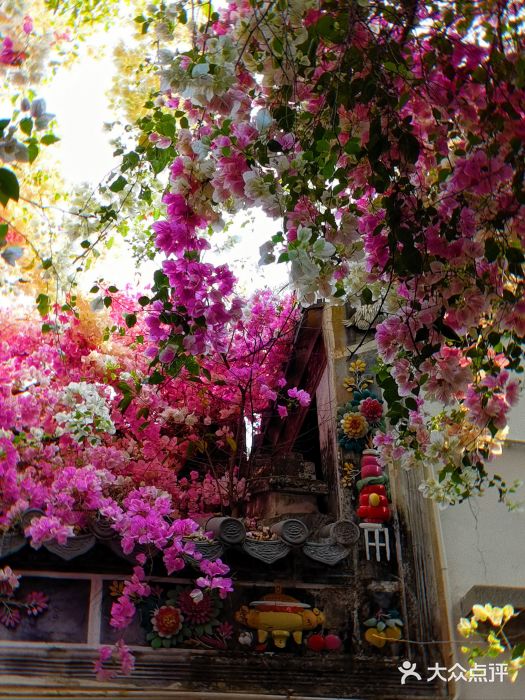 深圳国际园林花卉博览园图片