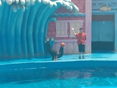 -华夏文旅海洋公园