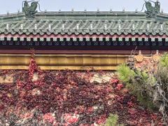 -中国农业博物馆