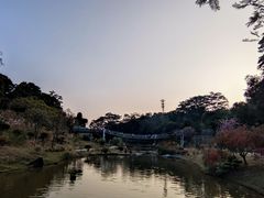 -东莞植物园