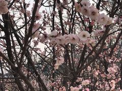 -北京鹫峰国家森林公园
