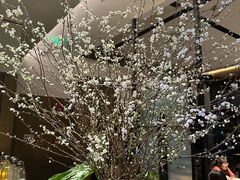 -柿合缘新京菜(国金中心商场店)
