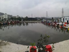 -会江钓鱼钓虾烧烤场