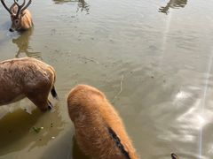 -宁波杭州湾国家湿地公园