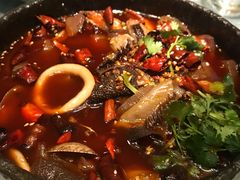 海鲜毛血旺-雀蓝川菜(奥体广场店)