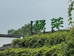-绿茶餐厅(龙井船宴· 品牌总店)