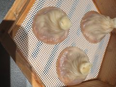 -小厨娘金榜题名(夫子庙秦淮河店)