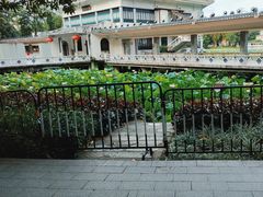 -荔湾湖公园