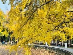 -四川大学(华西校区)