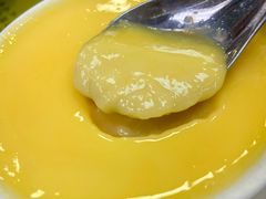 -澳洲牛奶公司(佐敦店)