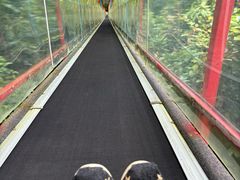 -七仙岭温泉国家森林公园