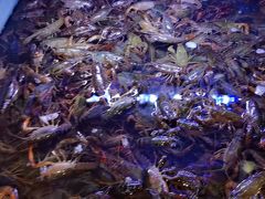 -虾铺子龙虾·私房菜(金源花苑店)