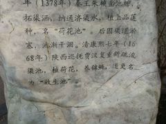-莲湖公园