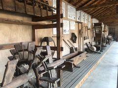 -千年银杏谷文化旅游区