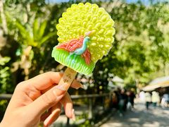 -西双版纳原始森林公园