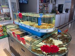水产区-蓬莱利华酒店(密汾南街店)