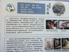 -青藏高原野生动物园
