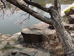 -石家庄市植物园